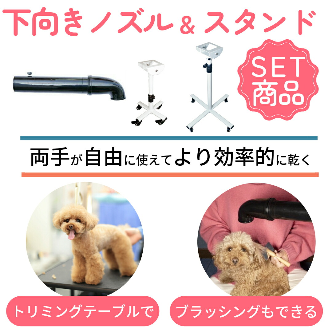 DogOne stand setup space large dog
