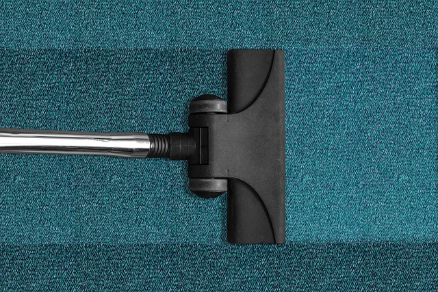 cleaning cat furniture vacuum