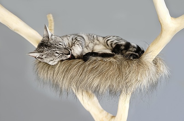 cat tower rope scratching post