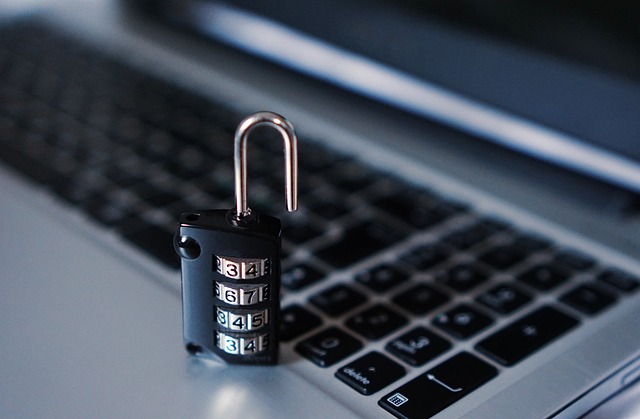 car theft prevention security