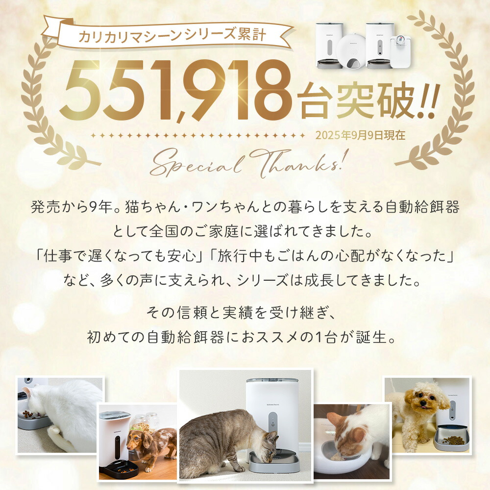 kitchen scale measuring pet food weight