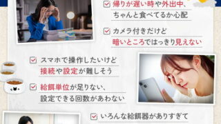 自動給餌器