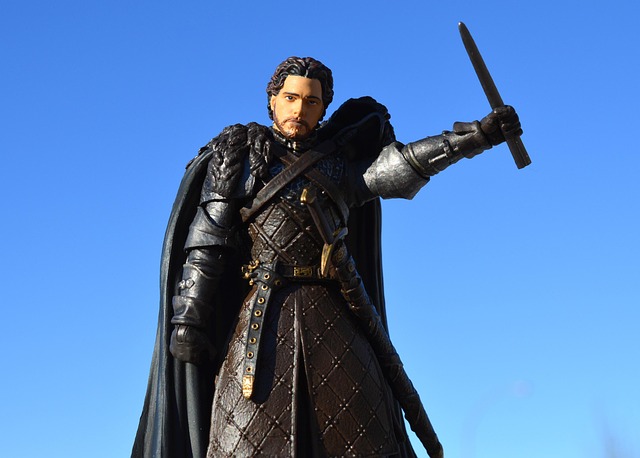 collector figure display room