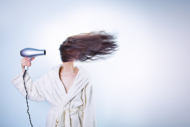 premium hair dryer salon
