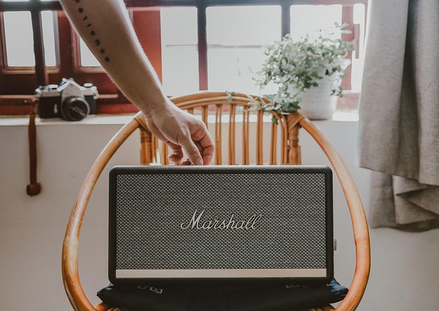 singing microphone bluetooth speaker