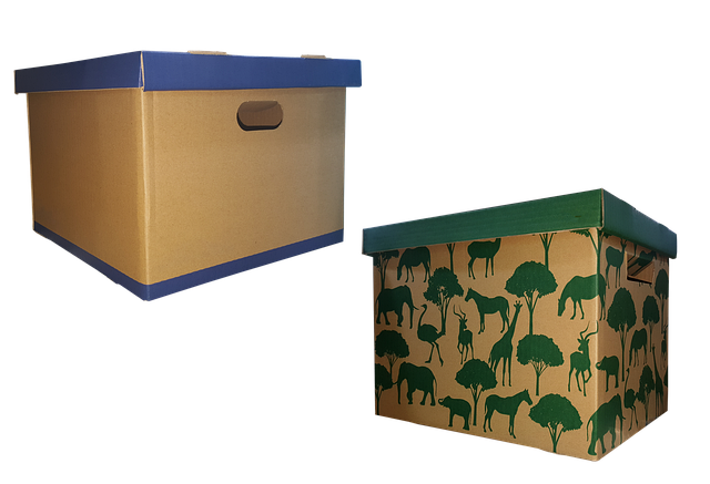 storage case microphone travel