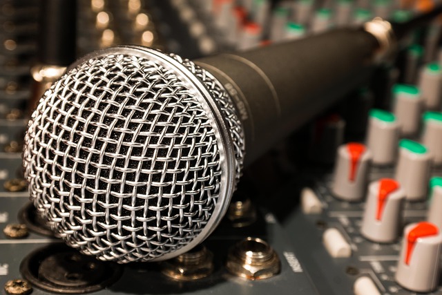 karaoke microphone product photo 2