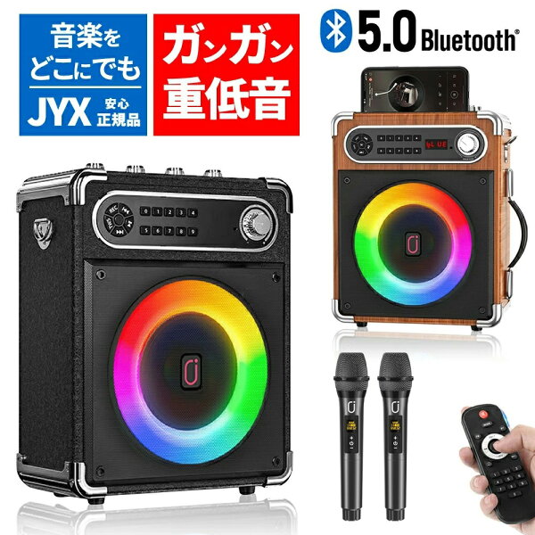 karaoke microphone product photo 4