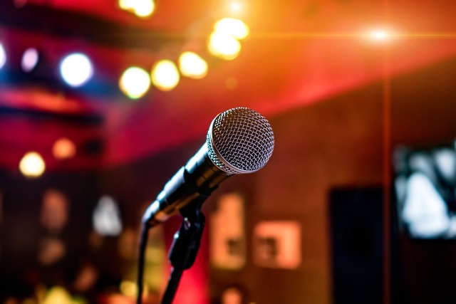 karaoke microphone product photo 2