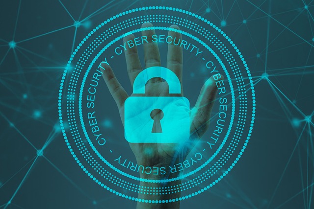 digital security lock protection