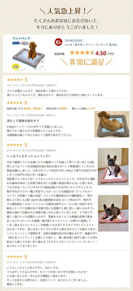 レビューで評価されているポイントを説明する章の挿絵