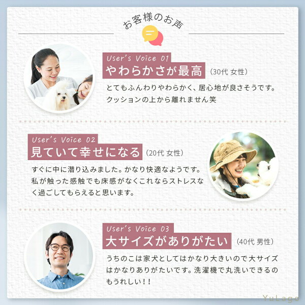 同価格帯の他モデルとの比較を説明する章の挿絵