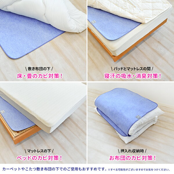 実は知っておきたい特徴の章の後、スペック早見表章の前の挿絵