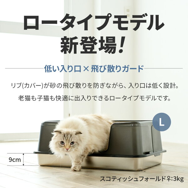 レビューで評価されているポイント章の挿絵