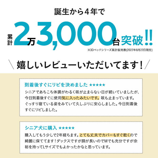 レビューで評価されているポイント章の挿絵