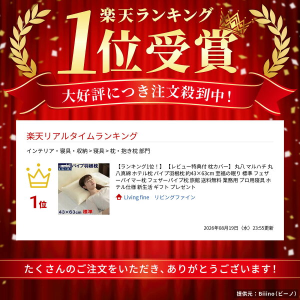 実は知っておきたい特徴の章の後、スペック早見表章の前の挿絵