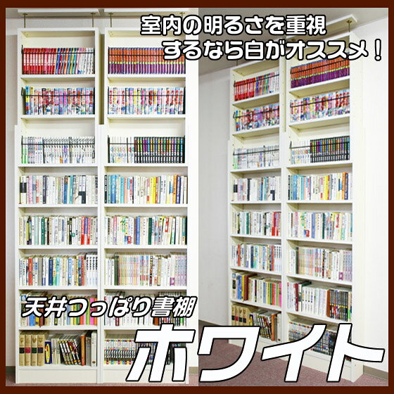 実は知っておきたい特徴の章の後、スペック早見表章の前の挿絵
