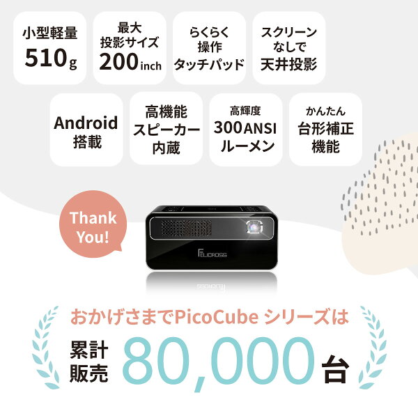 こんな人に向いている一台の章の後、スペック早見表章の前の挿絵