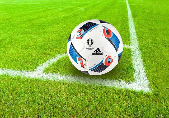 soccer ball field grass