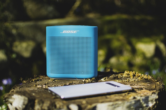 bluetooth speaker connection setup