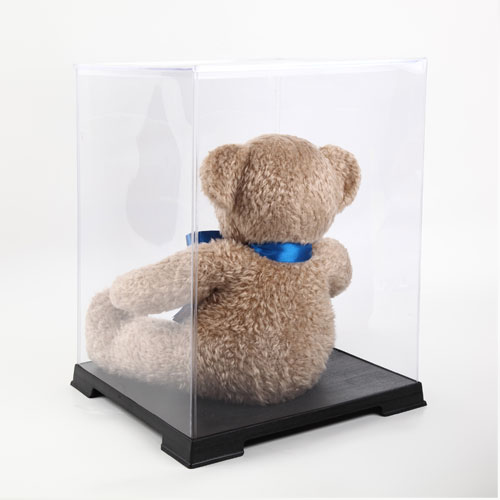 thanksteddybear case memorial display review
