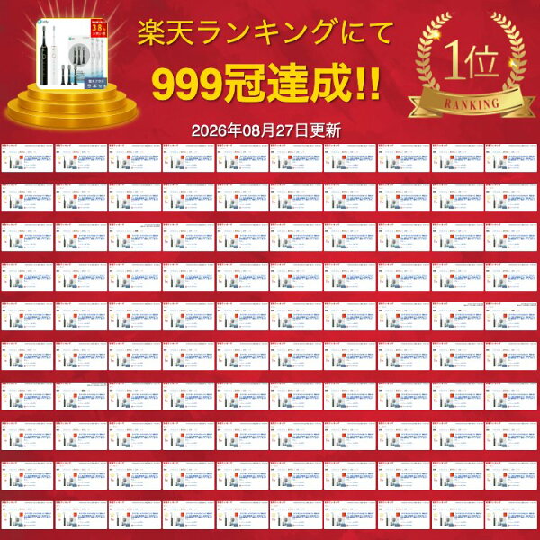 スペック早見表の後、評価ポイント章の前の挿絵